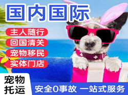 赛乌素机场快运国际宠物托运 【国